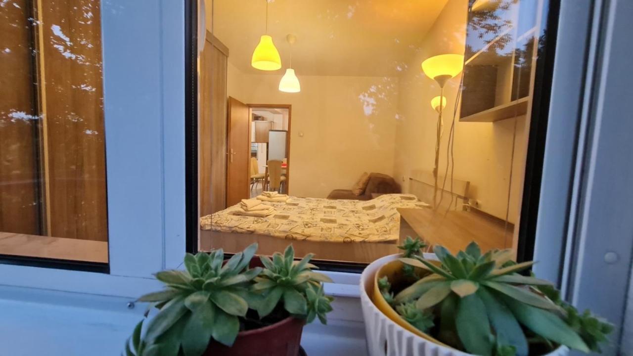 Center Cosy Apartment スコピエ エクステリア 写真